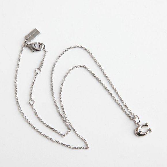 BRAND NEW COACH SIGNATURE C SILVER NECKLACE - Picture 7 of 9